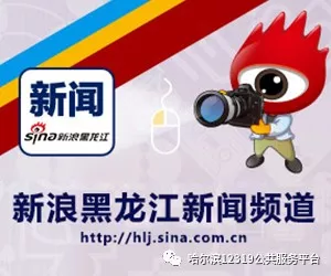 《小杨有约16》热度将持续攀升：小精灵real引领内容创新潮流